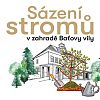 B Sazeni stromu.jpg